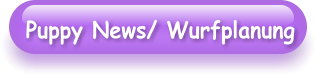 Puppy News/ Wurfplanung