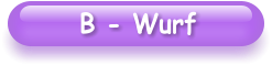 B - Wurf